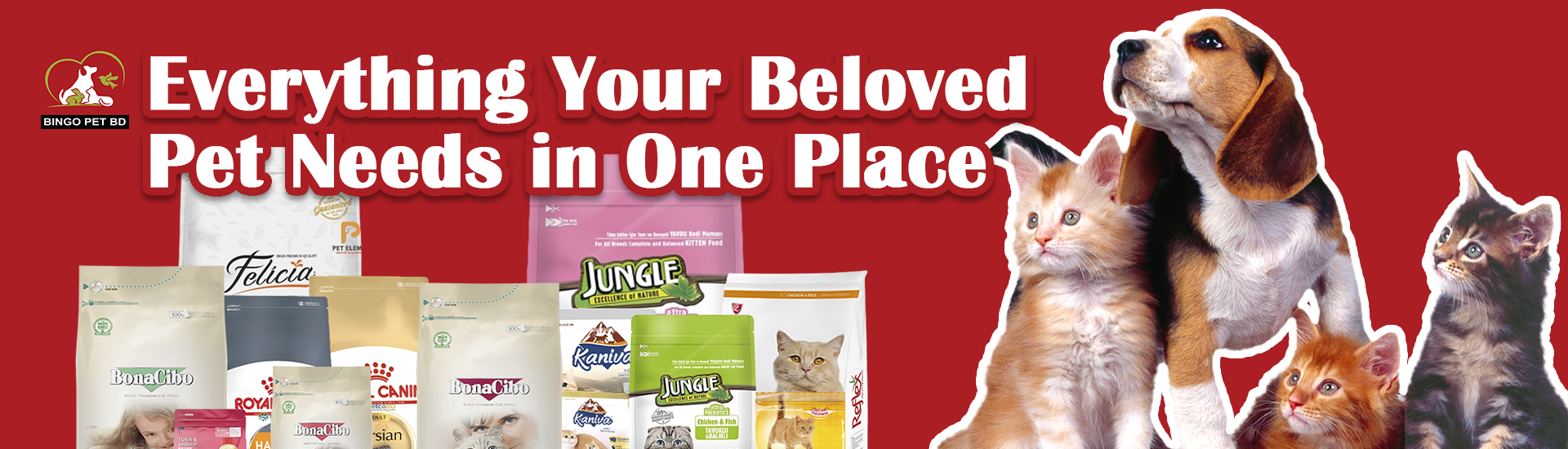 bingo pet
