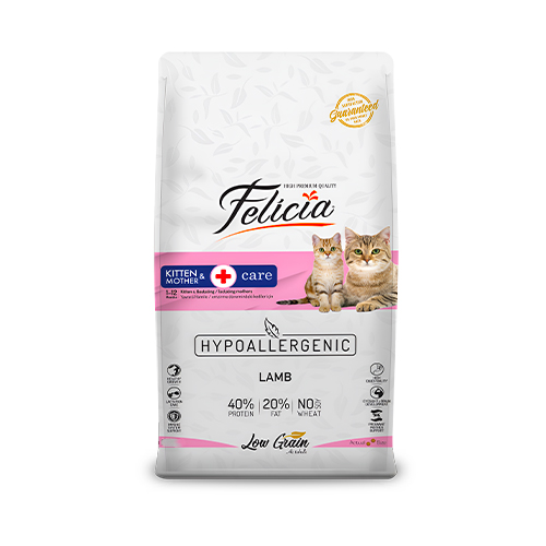 Felicia Kitten & Mother Care Cat Food Lamb (2kg)